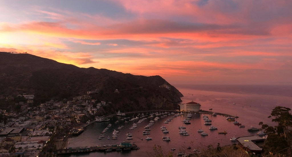 Photo by Robert Palmer on Unsplash